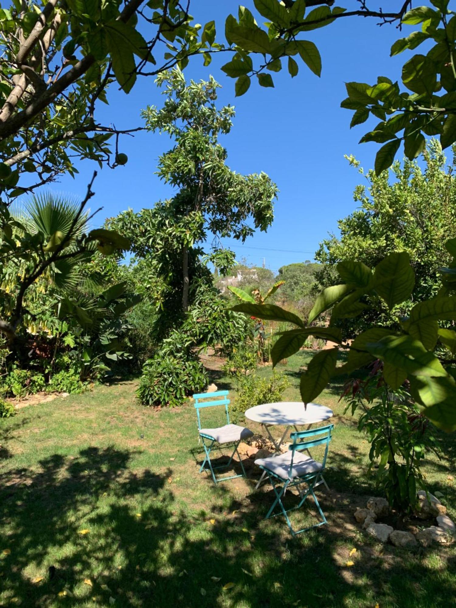 A Tranquil Garden Apartment, Carvoeiro - Benagil ภายนอก รูปภาพ
