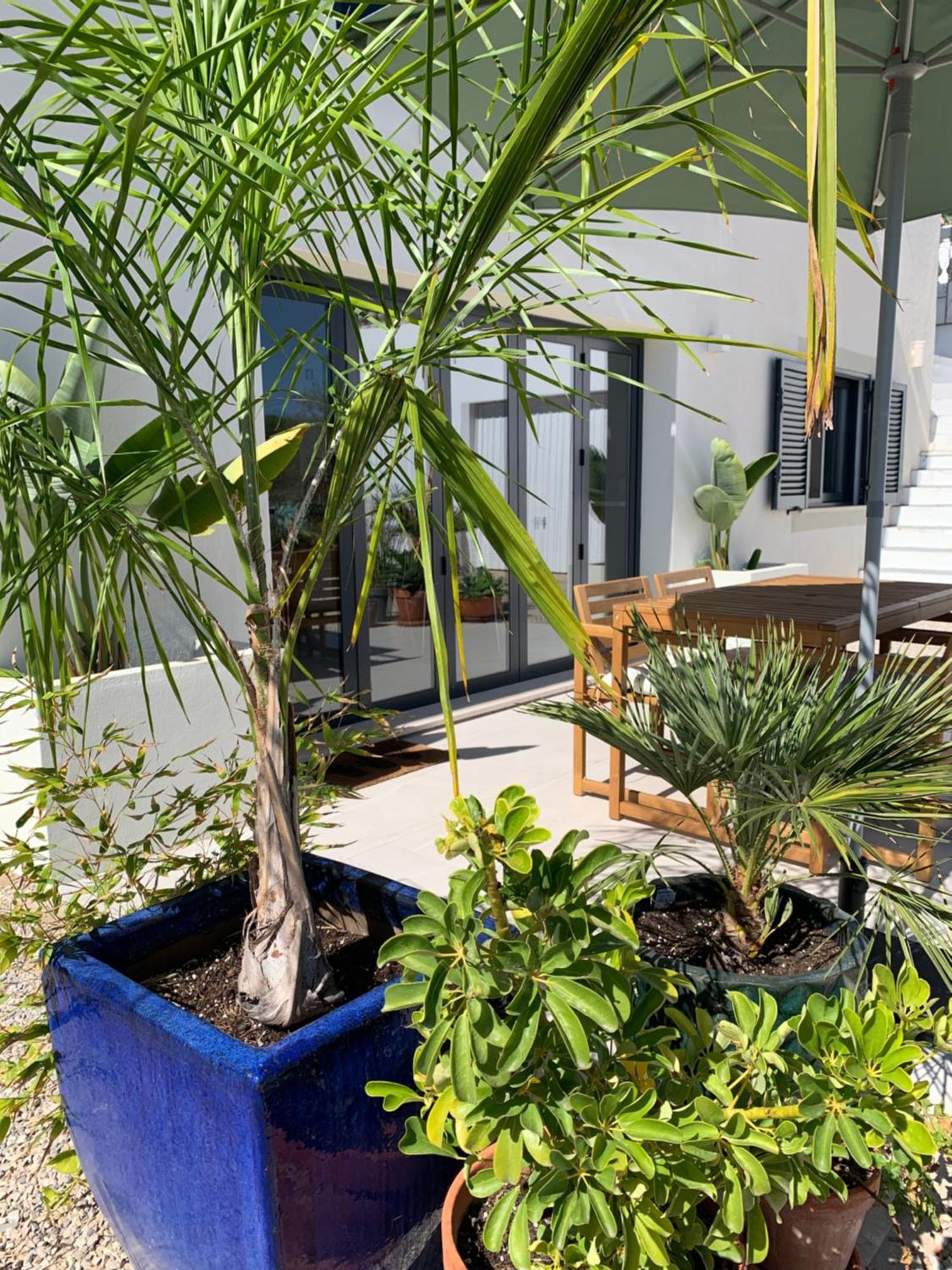 A Tranquil Garden Apartment, Carvoeiro - Benagil ภายนอก รูปภาพ